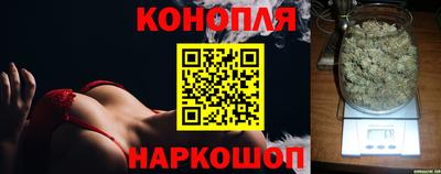гидропоника Аргун