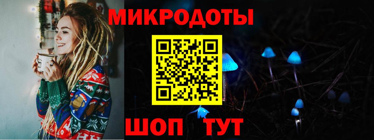 Галлюциногенные грибы Psilocybe Белореченск